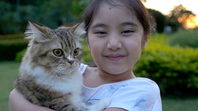 慢动作的可爱的亚洲女孩玩她的波斯猫在公园视频素材