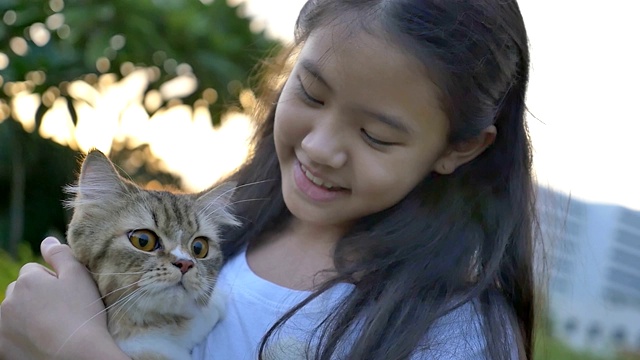 慢动作的可爱的亚洲女孩玩她的波斯猫在公园视频素材