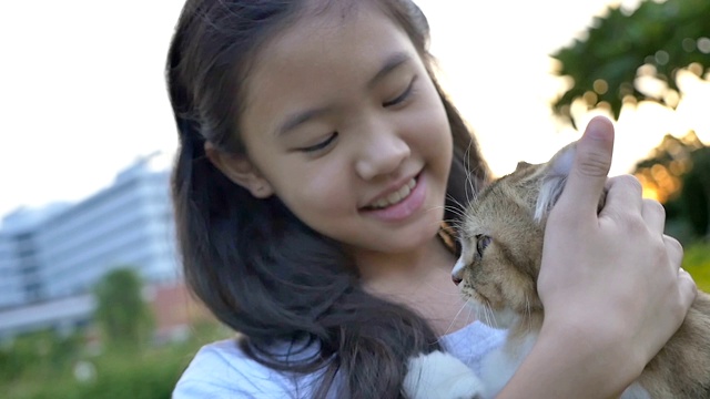 慢动作的可爱的亚洲女孩玩她的波斯猫在公园视频素材