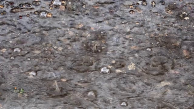 雨点落在沥青路面上视频素材