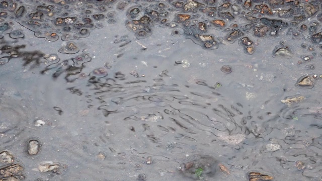 小雨在沥青水坑表面的特写视频素材