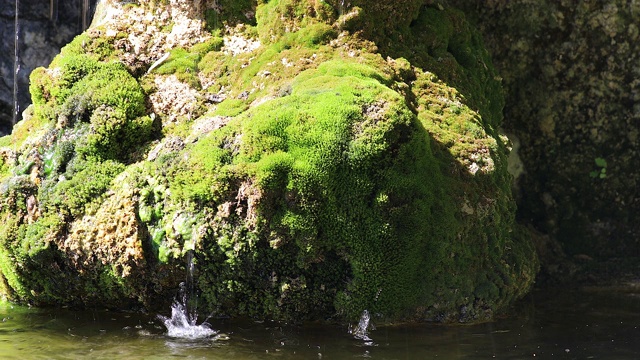 池塘里的苔藓岩石视频素材