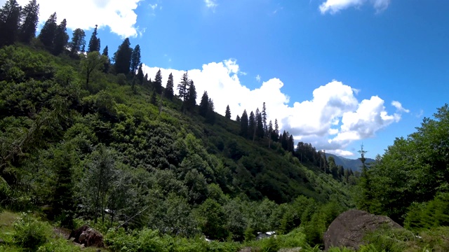 美丽的绿色自然景观，森林和河流在黑海地区，阿尔特文，土耳其视频素材