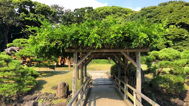 从Hamarikyu花园和它的大而迷人的景观花园在东京，Sumida河，日本东京视频素材