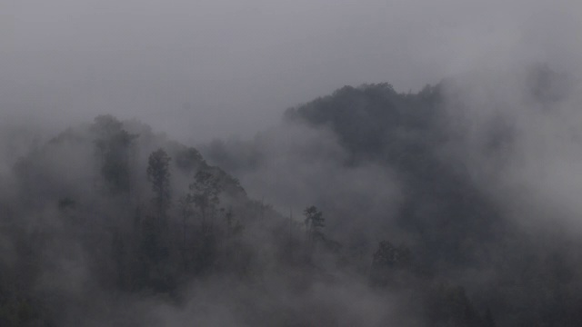 山谷被雾笼罩着视频素材