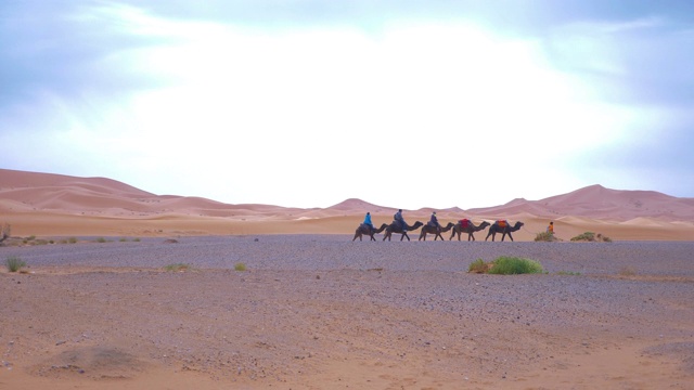 摩洛哥Merzouga沙漠的景观和沙丘视频素材