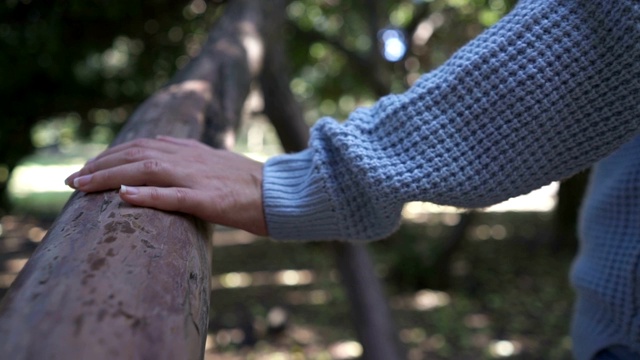 近距离看女人的手在森林里触摸着树干视频素材