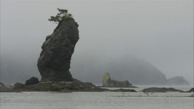 在一个多雾的海岸线附近，一个不寻常的岩层伸出水面。视频素材