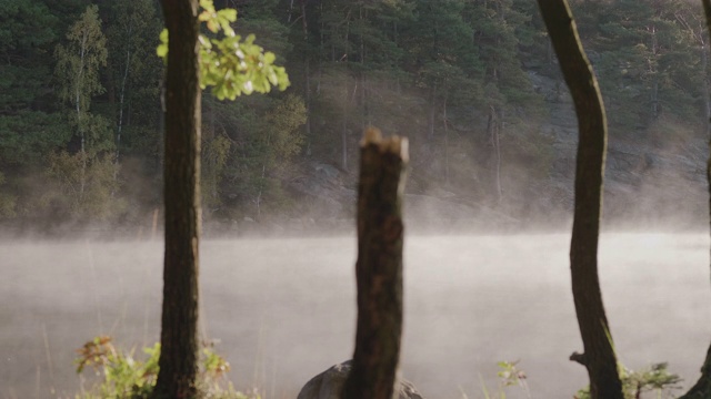 瑞典初秋清晨的一个湖视频素材