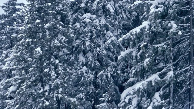 冬季仙境。雪坡和山地景观视频素材