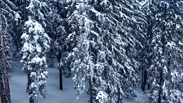 冬季仙境。雪坡和山地景观视频素材