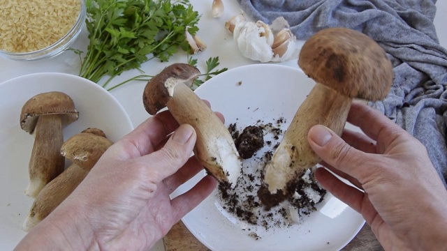 个人视角的女人的手准备牛肝菌(牛肝菌可食用)烹饪他们视频素材