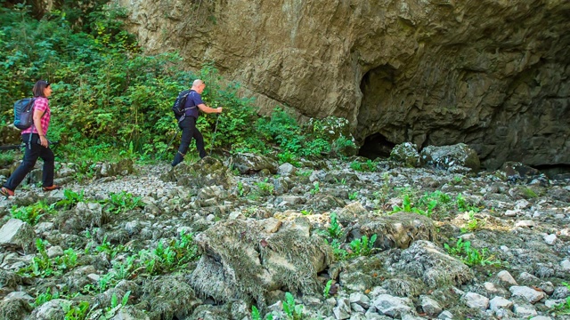 Dicovering岩溶野生动物视频下载