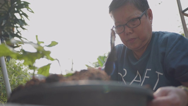 亚洲高级妇女种植在花园里。视频素材