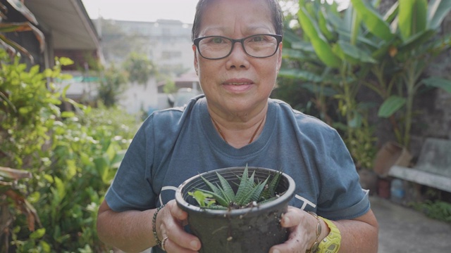 亚洲高级妇女种植在花园里。视频素材