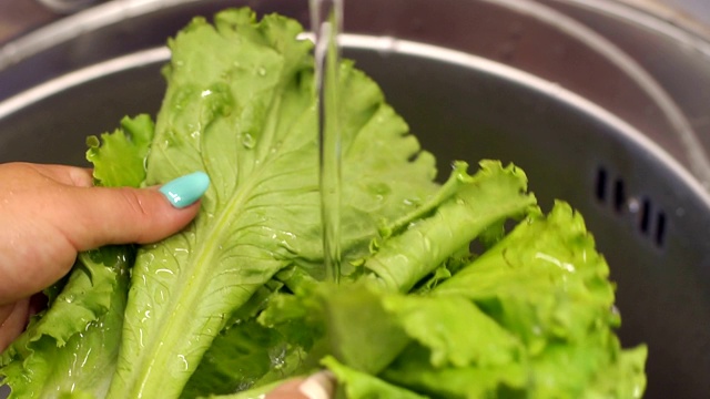 一个年轻的女人洗新鲜的生菜在厨房水槽在家里。视频素材