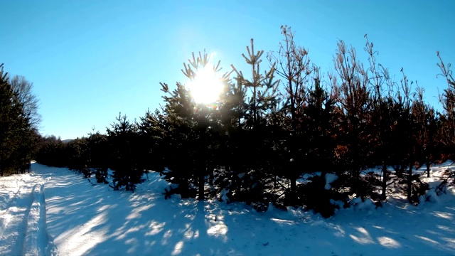 在山上滑雪胜地的雪地摩托上的骑手视频素材