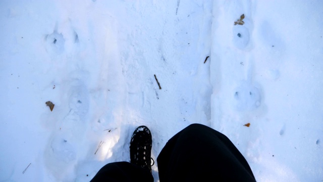 在雪道上行走的男性脚的俯视图。穿着靴子的人走在路上，踩在洁白的雪地上。难以辨认的徒步旅行者在森林中漫步。冬天的概念。POV慢动作特写视频素材