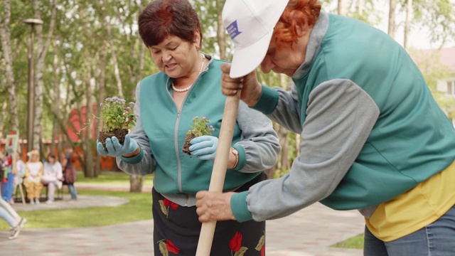 女园丁在夏季土壤公园种植花卉幼苗。高级妇女在城市花园的花坛上移植盛开的鲜花。视频素材