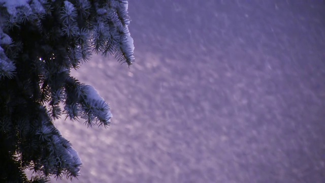 暴风雪或能见度差的概念在傍晚或夜间出现降雪视频素材