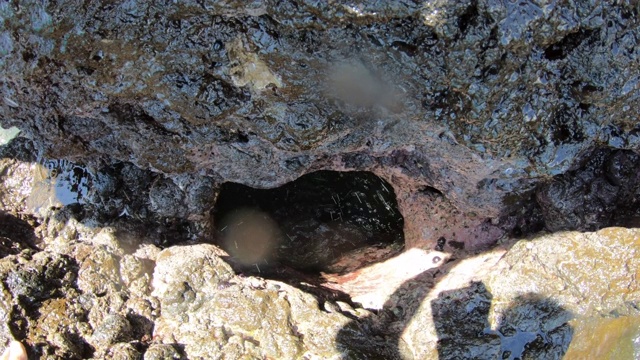 海水喷射器喷出的相机波穿过火山熔岩岩石的洞视频素材