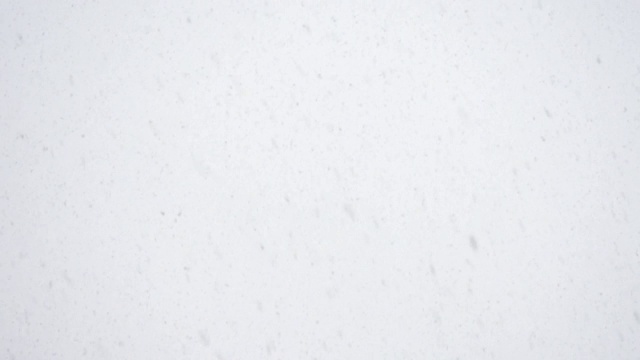 天空下着大雪。视频素材