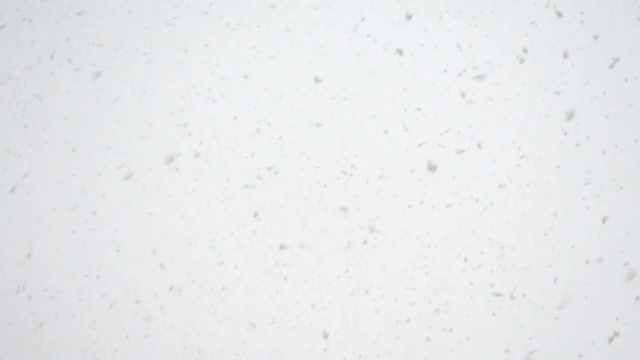 天空下着大雪。视频素材