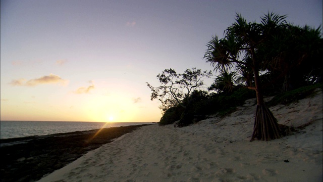 日落时分，苍鹭岛(Heron Island)风景如画的海滩上布满了岩石。视频素材