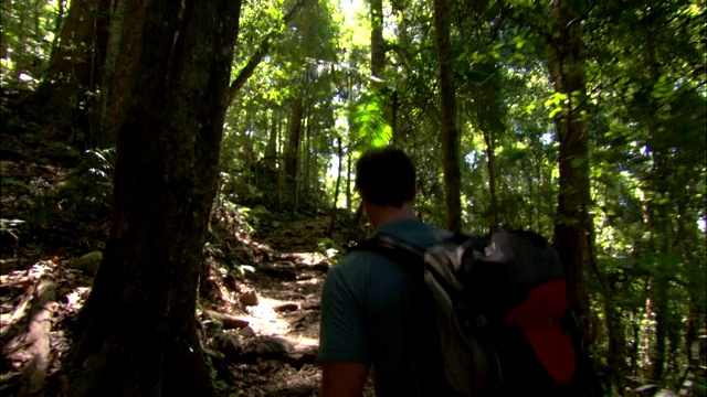 徒步旅行者在岩石小道上旅行。视频素材