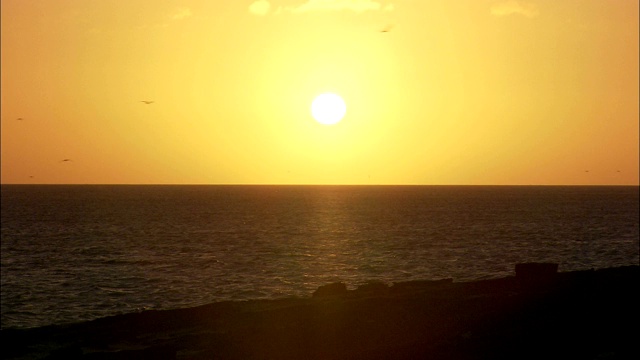 苍鹭岛的海滩上，夕阳西下。视频素材