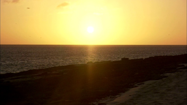 苍鹭岛的海滩上，夕阳西下。视频素材