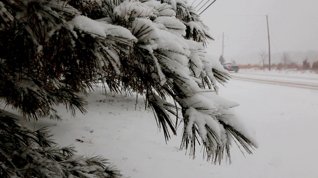 冬天森林里的雪覆盖着路，树上的雪模糊地飘落着雪花视频素材