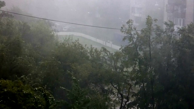 暴风雨在镇上——大树在狂风暴雨下视频素材