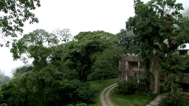 在郁郁葱葱的森林里，一条土路蜿蜒在一栋两层楼的房子后面。视频素材