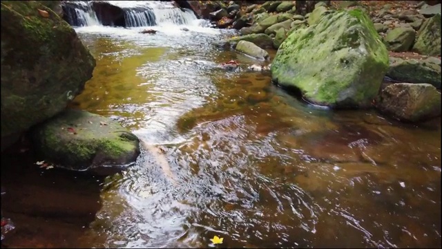 秋天森林里的瀑布视频素材