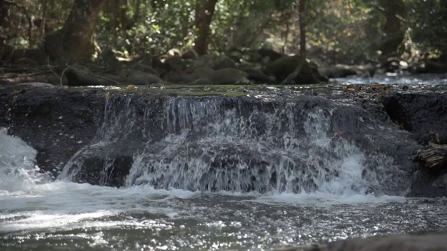 溪流与岩石和树木在自然界中流动视频素材