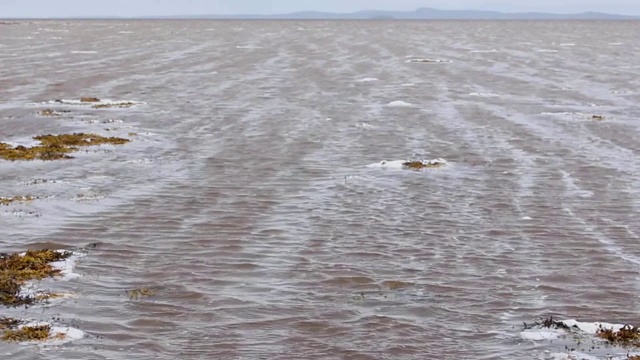 白海的水在退潮时流动视频素材