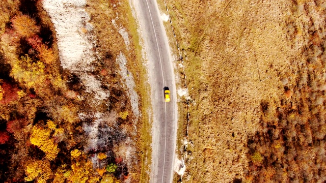 鸟瞰图的秋天道路汽车。秋天的乡间小路。森林和公路无人机视图。汽车道路在森林俯视图视频素材