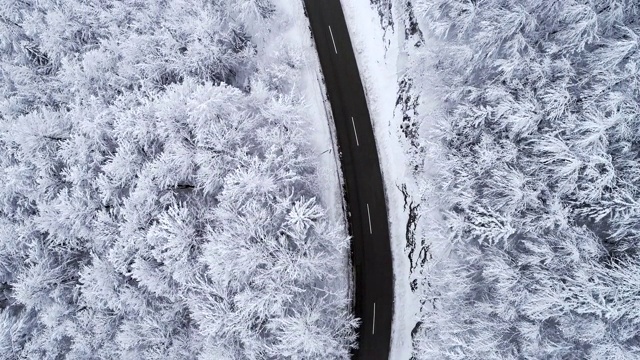蜿蜒的道路穿过冰冻的冬季森林视频素材