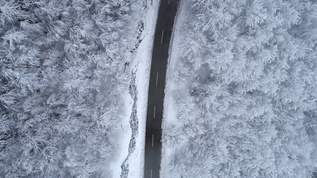 旋转在蜿蜒的道路上通过冰冻的冬天森林视频素材