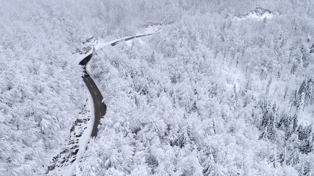 蜿蜒的柏油路穿过白雪覆盖的美丽森林视频素材