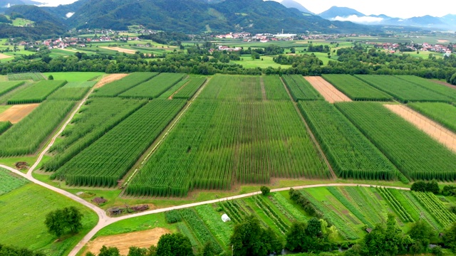 宁静的风景视频素材