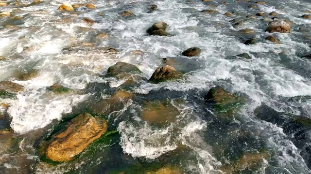 夏天河水泛滥视频素材