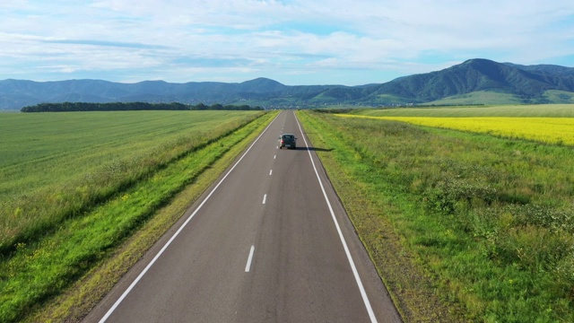 Op视图的道路和盛开的黄色田野。在路上行驶的汽车。航空拍摄视频素材