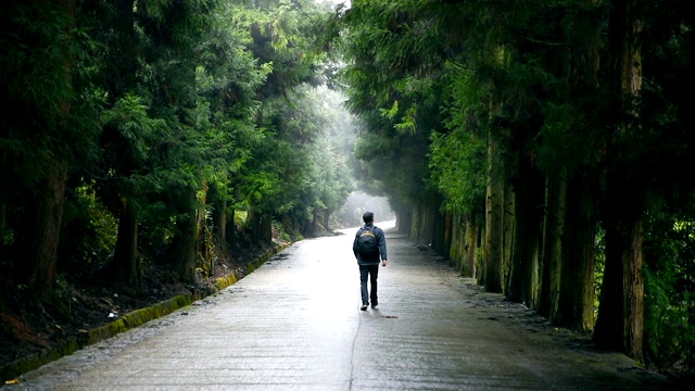 旅行者背着背包在路上向前走视频素材