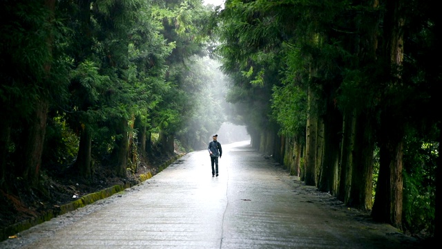 背包旅行者走在路上视频素材