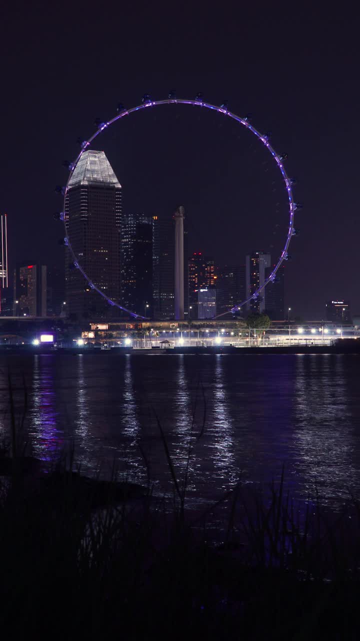 垂直时间推移的新加坡飞行与摩天大楼在夜间景观视频素材