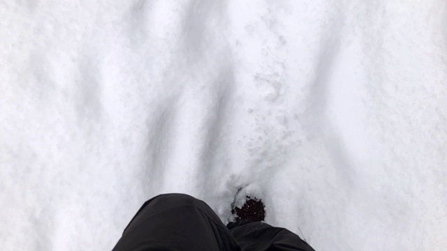 在雪地上慢动作走着雪船和雪裤。视频素材