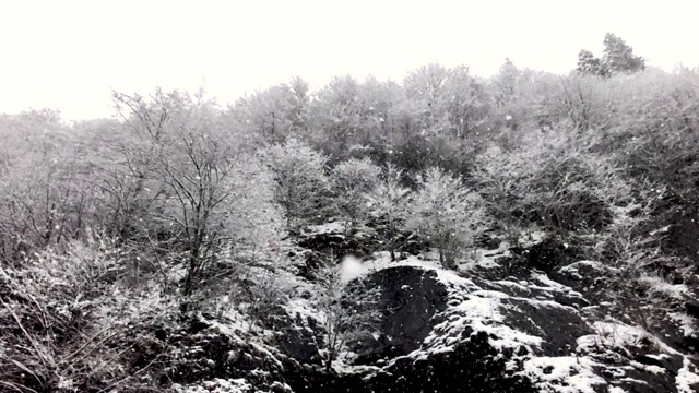 慢镜头冬天下雪。有白雪覆盖的树木和岩石。视频素材