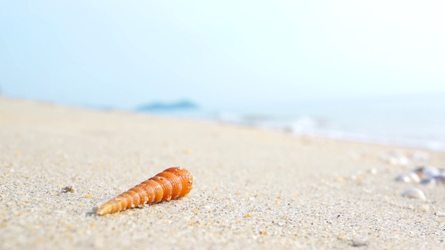 海贝与沙子和海浪背景视频素材